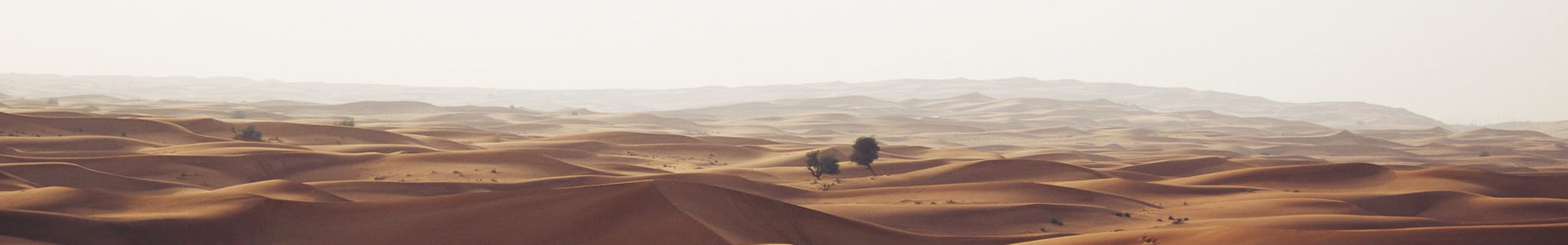 ŵؼݸ޹˾